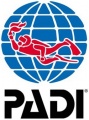 89px-Padi logo.jpg