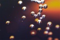 120px-Prawo henryego bubbles.jpg