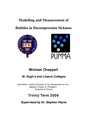 Model&Measur bubbles in DCS.pdf