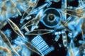 180px-Przyroda fitoplankton diatom.jpg
