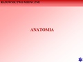 ANATOMIA.pdf
